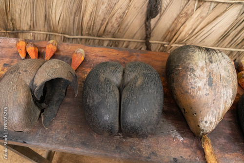 Coco de Mer Wald auf Praslin, Seychellen – Tropische Palmen und dichter Urwald