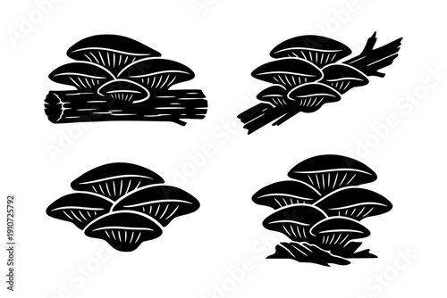 Silhouette of oyster mushrooms on log and sticks