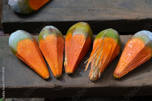 Coco de Mer Wald auf Praslin, Seychellen – Tropische Palmen und dichter Urwald