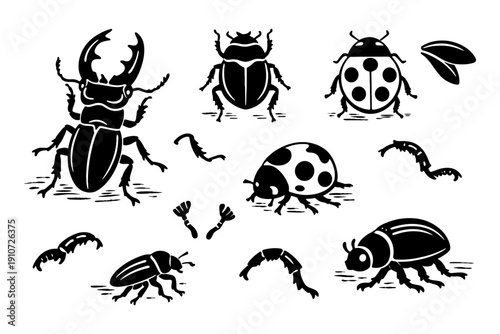Collection of stylized beetles and insects silhouettes in black and white