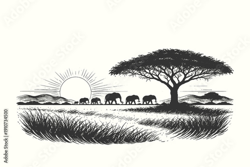Vintage engraving vector illustration of an elephant herd walking across the African savanna at sunrise with a large acacia tree in a hand drawn woodcut style.