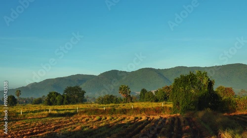 Serene rural landscape with majestic mountains and golden agricultural fields under a clear blue sky
