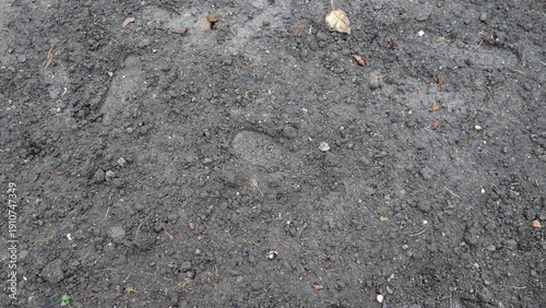 Footprint on moist, textured soil surface