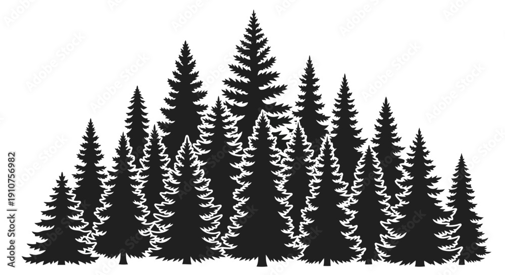 Obraz premium Silhouette of a dense forest of pine trees.