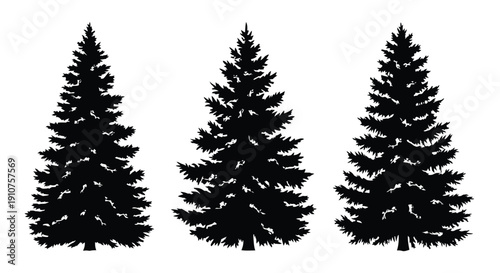 Three Black Silhouettes of Evergreen Pine Trees.