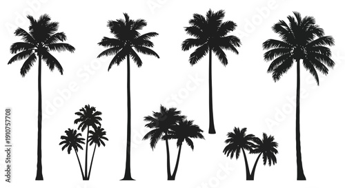 Collection of Silhouetted Palm Trees in Various Sizes.