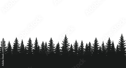 Silhouette of a dense evergreen forest landscape.