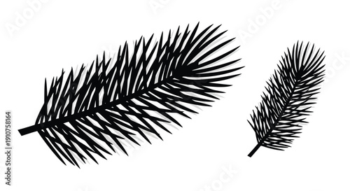 Black Silhouette of Pine Needles on White Background.