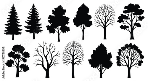 Collection of Diverse Tree Silhouettes in Black and White.