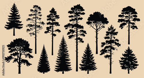 Collection of Diverse Pine Tree Silhouettes in Various Shapes.
