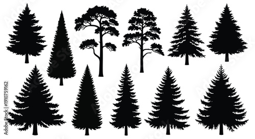 Collection of Diverse Pine Tree Silhouettes.