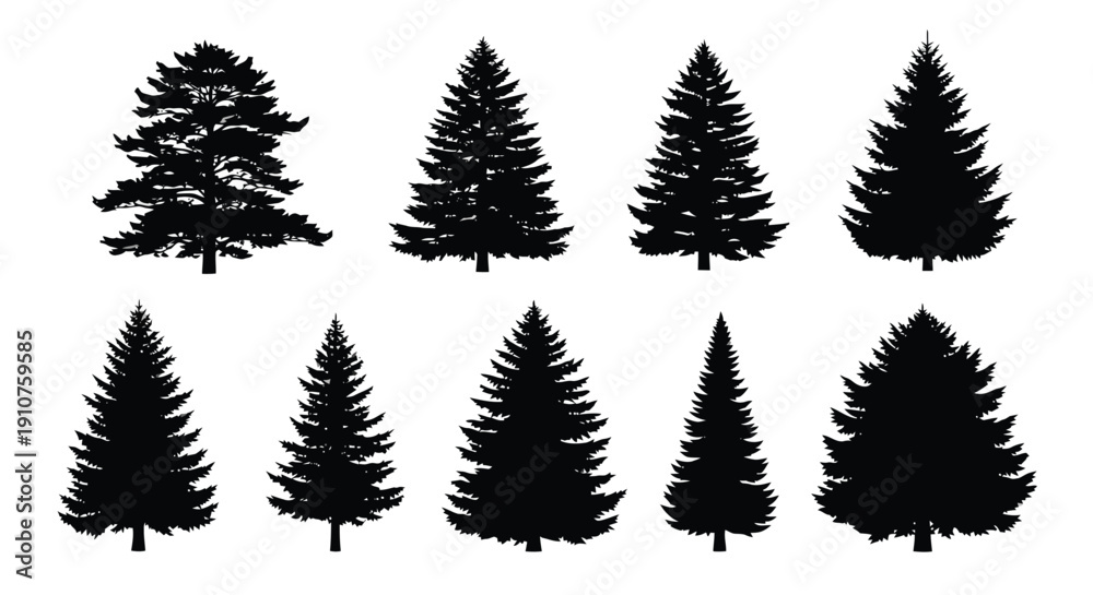 Obraz premium Collection of Diverse Pine and Fir Tree Silhouettes.