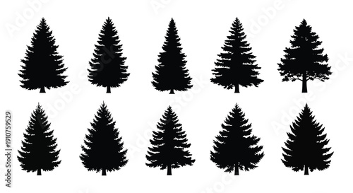 Collection of Diverse Evergreen Tree Silhouettes.