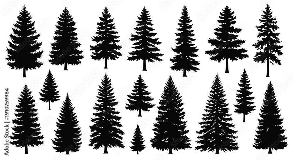 Fototapeta premium Collection of Diverse Evergreen Pine Tree Silhouettes.