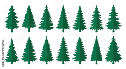 Collection of Green Fir Trees Vector Illustration.