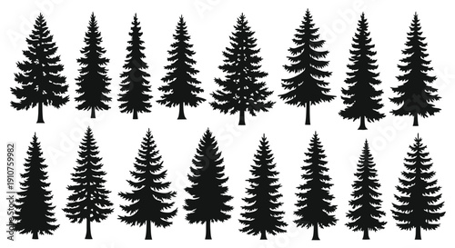 Collection of Diverse Evergreen Pine Tree Silhouettes.