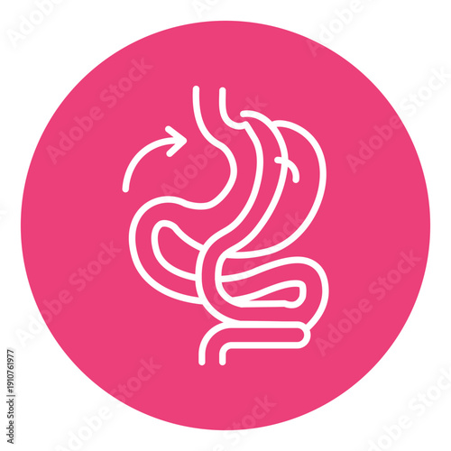 Gastric Bypass Vector Icon