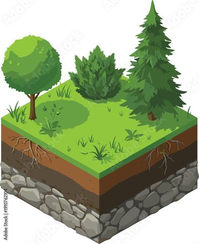 Isometric forest ecosystem vector with soil layers, deciduous and evergreen trees, green grass, and underground rocky cross section for education.