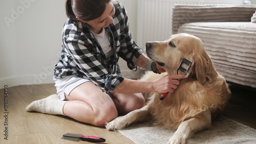 Wallpaper Mural Pet Owner Girl Brushes Fluffy, Adorable Dog With A Comb After Taking A Bath Torontodigital.ca