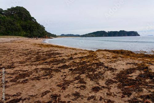 Early morning on Hot Water Beach, Coromandel.