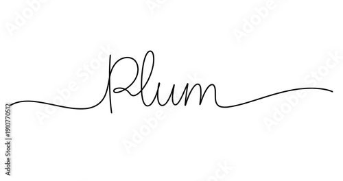 Elegant handwriting design featuring the word plum in flowing script. No editable strokes