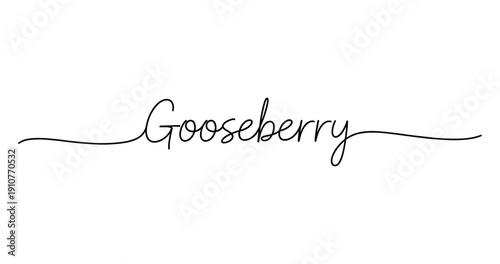Gooseberry: elegant handwritten calligraphy word art design. No editable strokes