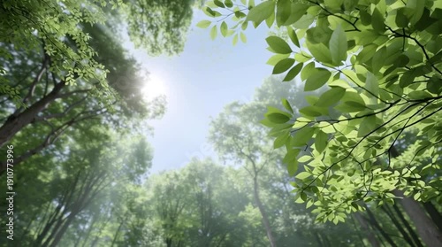 Wallpaper Mural Lush green leaves under sunlight in a serene forest setting. Torontodigital.ca