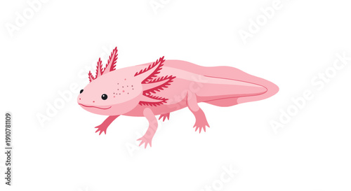 Digital illustration of a pink axolotl salamander in a white environment from a side viewpoint
