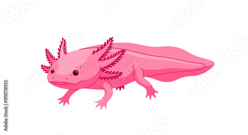 A vibrant pink axolotl with feathery gills swimming in water, illustrated from a side viewpoint