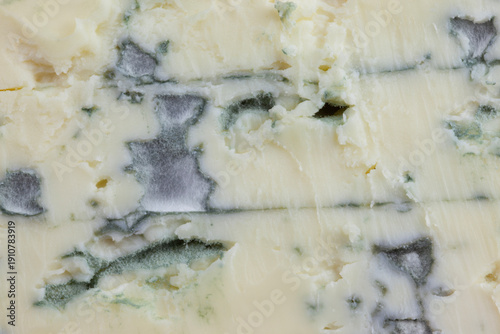 French blue cheese texture close up with mold