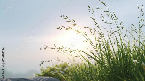 Wallpaper Mural Tall grass swaying gently under a soft morning light. Torontodigital.ca