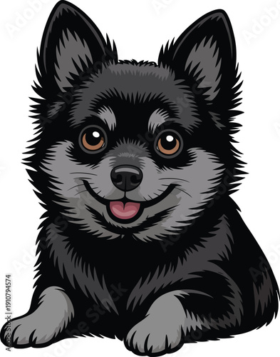 Cute cartoon a illustrator vector Schipperke