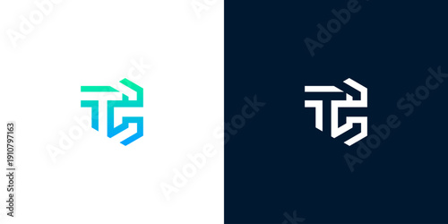 Dynamic abstract geometric logo featuring an interconnected lettermark concept, rendered in a fresh gradient and minimalist monochrome for modern business branding