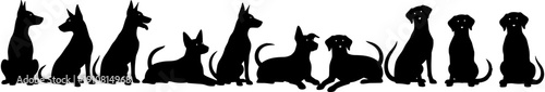 Dog silhouette set, various canine breeds sitting and standing, pet animal silhouettes for veterinary and pet shop logo, domestic dog breed collection.