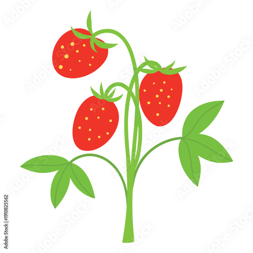 Strawberry Plant Clipart, Fresh Berry Illustration. Potted Strawberry Illustration, Juicy Fruit Icon. Garden Strawberry Vector, Red Berry Illustration