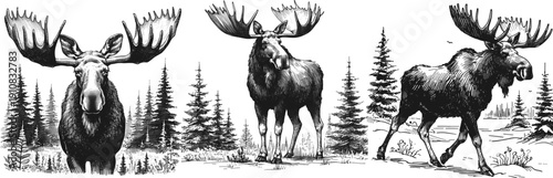 Moose in the Mist Moose line art drawing sketch vector hand drawn illustration svg