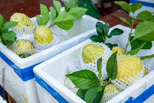 Photos Fresh cherimoya fruits packed in insulated boxes with protective netting and green leaves, displayed at a market for sale