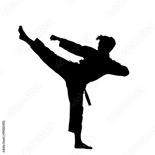 Dynamic Silhouette of a Martial Arts Practitioner Performing a High Kick.