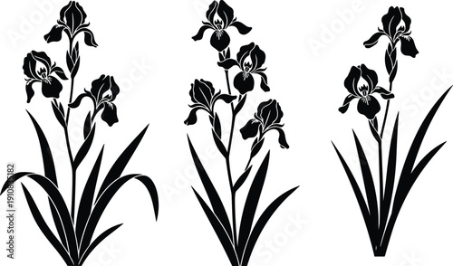 Iris flower silhouette set with leaves and blooms, black floral vector collection isolated on white background for decoration and design