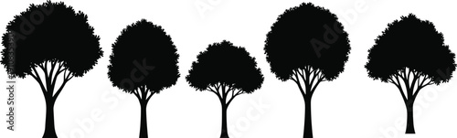 Tree silhouette set with leafy deciduous trees in various shapes, black nature vector collection isolated on white background