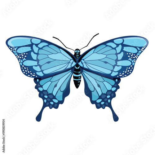 Blue Butterfly Vector Illustration – Detailed Symmetrical Tropical Butterfly with Decorative Wings