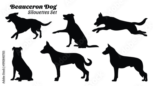 Beauceron Dog Silhouette Collection Isolated on White Background Vector Illustration
