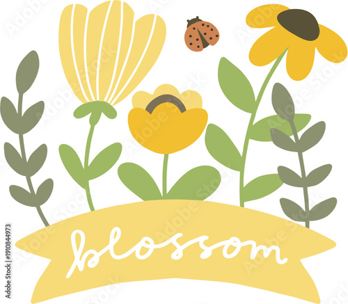 spring blossom blooming flower text decoration 