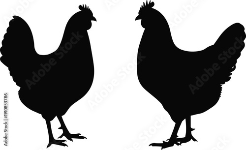 Two chickens silhouettes pecking ground, poultry feeding behavior vector illustration, rural farm animal agriculture design element for education