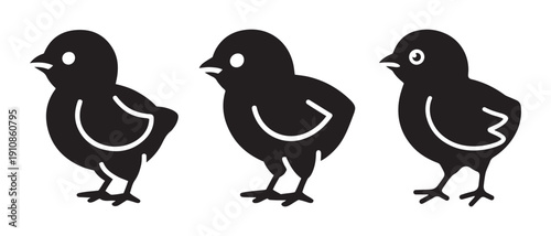 Cute Black Chick Icons. Lined Up on White Background for Farm Animal and Spring Themes.