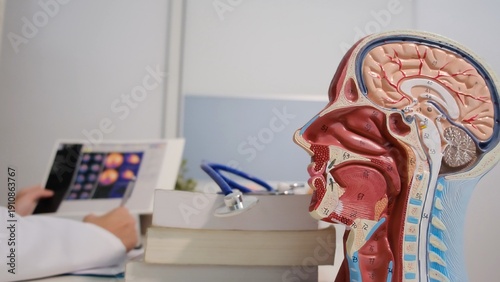 Foto Neurologist reviewing brain scan results