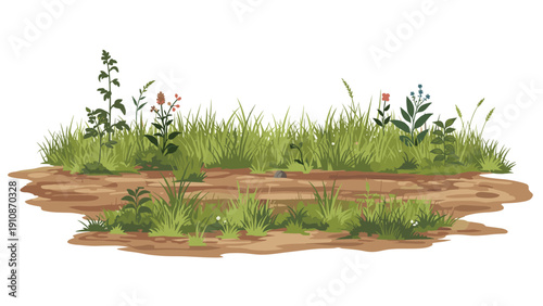 Detailed vector illustration of a patch of lush green grass and wildflowers growing on earthy soil, isolated on a white background.