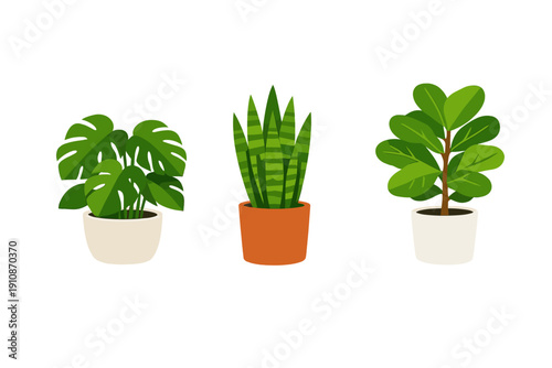 A flat vector illustration featuring three different potted houseplants: a monstera, a snake plant, and a rubber plant. They are arranged in a row against a solid black background.