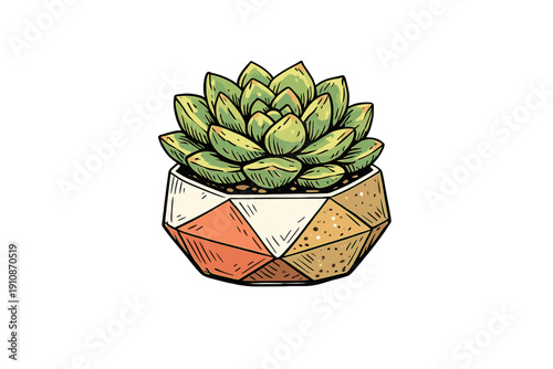 This hand-drawn illustration features a vibrant green succulent plant nestled inside a decorative geometric pot with orange and white facets, set against a black background.