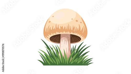 Simple cartoon illustration of a wild champignon mushroom with a beige cap, growing in a patch of green grass.